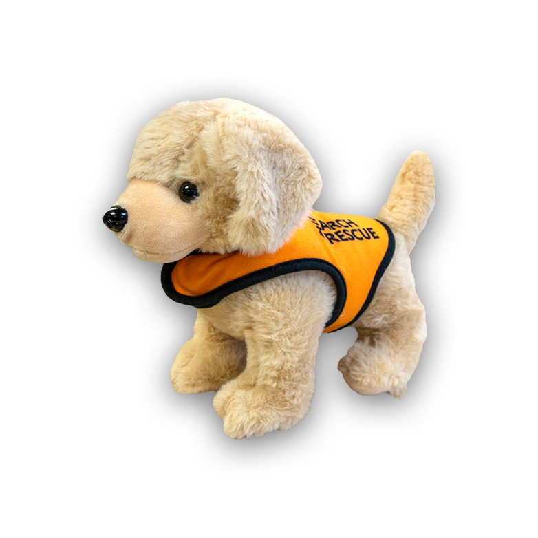Golden Retriever Rescue Dog